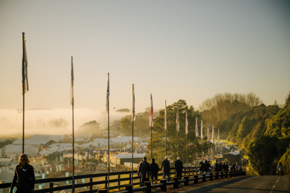 Our FIELDAYS® 2024 Deals